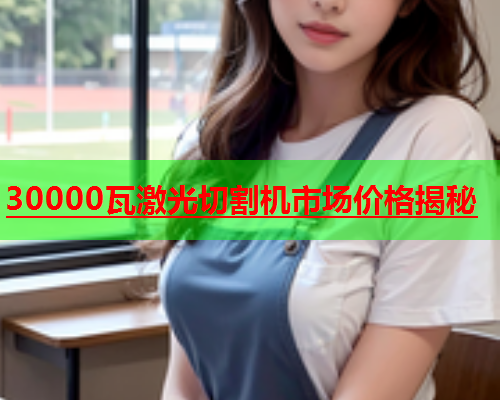 30000瓦激光切割机市场价格揭秘(图1)